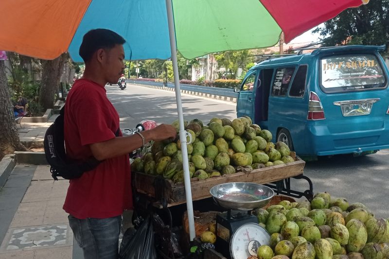 Pedagang musiman buah mangga raup keuntungan jutaan rupiah