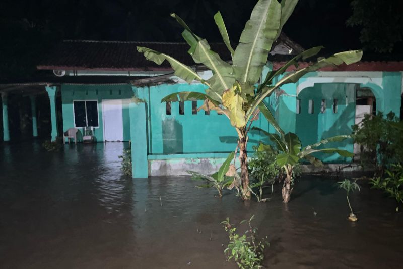 Sejumlah rumah di Lampung Selatan terdampak banjir akibat hujan deras Sejumlah rumah di Lampung Selatan terdampak banjir akibat hujan deras