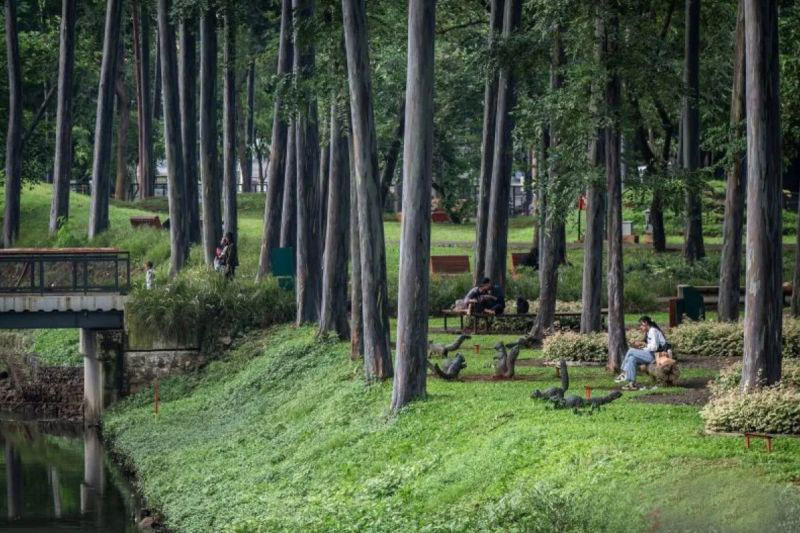 Pemprov DKI siap bangun trek joging di tiga taman dekat gedung ASEAN Pemprov DKI siap bangun trek joging di tiga taman dekat gedung ASEAN