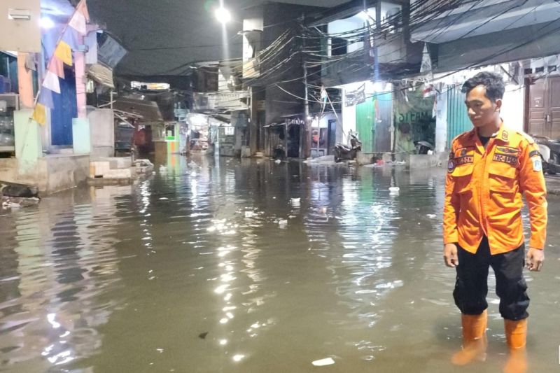 BPBD: Satu RT di Pluit terendam banjir rob pada Selasa pagi BPBD: Satu RT di Pluit terendam banjir rob pada Selasa pagi
