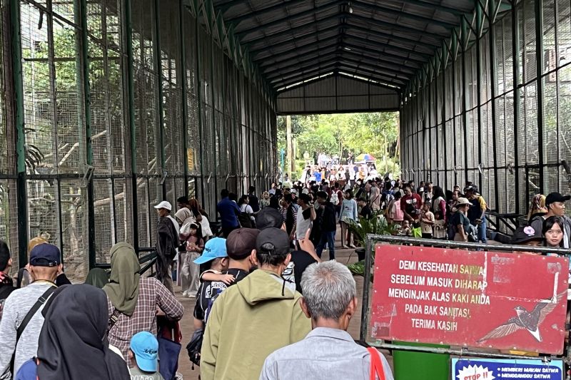 Ragunan jadi pilihan mengisi libur Lebaran yang edukatif dan murah