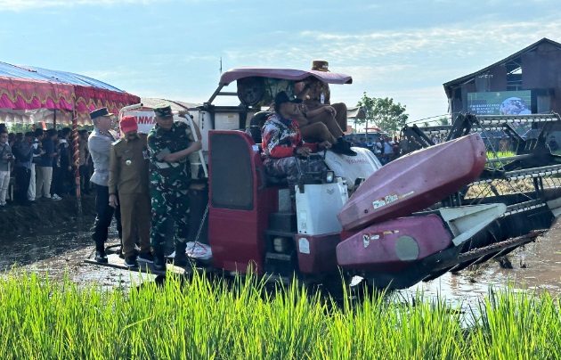 Pangdam VI/Mulawarman panen raya dan tanam serentak di Kalsel Pangdam VI/Mulawarman panen raya dan tanam serentak di Kalsel