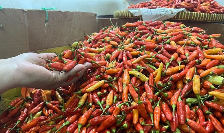 Harga pangan: bawang merah Rp43.148/kg, cabai rawit merah Rp80.379/kg Harga pangan: bawang merah Rp43.148/kg, cabai rawit merah Rp80.379/kg
