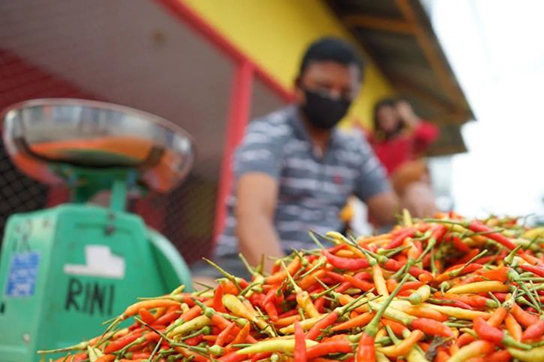 Harga pangan di Jumat, cabai rawit merah tembus Rp70.900/kg Harga pangan di Jumat, cabai rawit merah tembus Rp70.900/kg