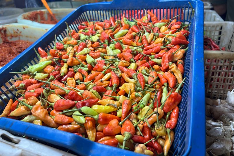 PIHPS: Harga cabai rawit merah Rp55.000/kg, bawang merah Rp32.950/kg PIHPS: Harga cabai rawit merah Rp55.000/kg, bawang merah Rp32.950/kg