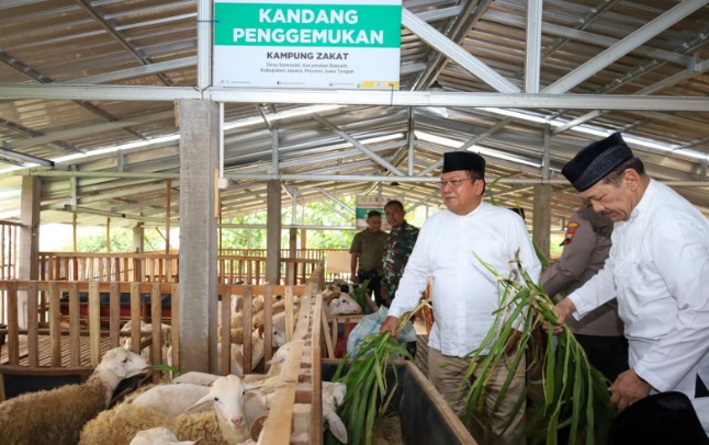 Berdayakan mustahik, BAZNAS RI luncurkan Program Balai Ternak di Jepara Berdayakan mustahik, BAZNAS RI luncurkan Program Balai Ternak di Jepara