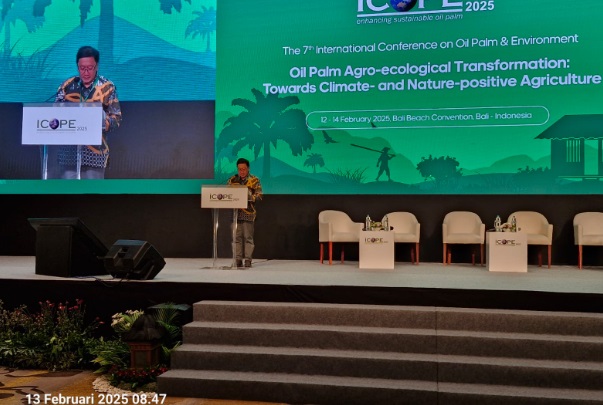 Kementerian Kehutanan tawarkan solusi selamatkan hutan Kementerian Kehutanan tawarkan solusi selamatkan hutan