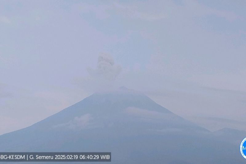 Gunung Semeru erupsi empat kali dengan tinggi letusan hingga 900 meter Gunung Semeru erupsi empat kali dengan tinggi letusan hingga 900 meter