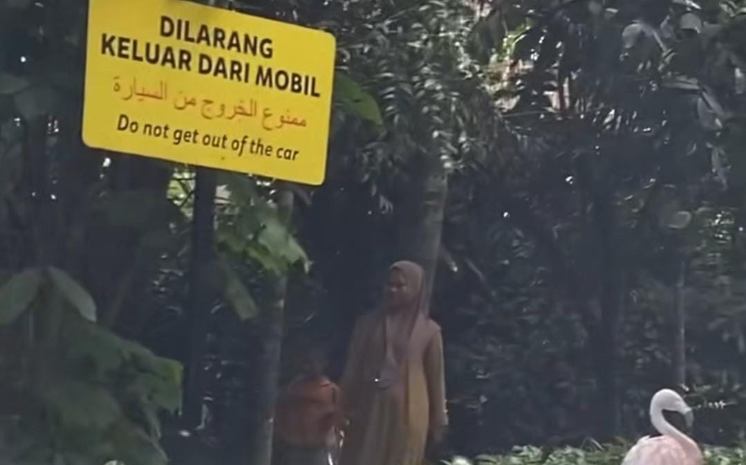 Viral! Wisatawan turun saat safari journey, Taman Safari perketat pengawasan