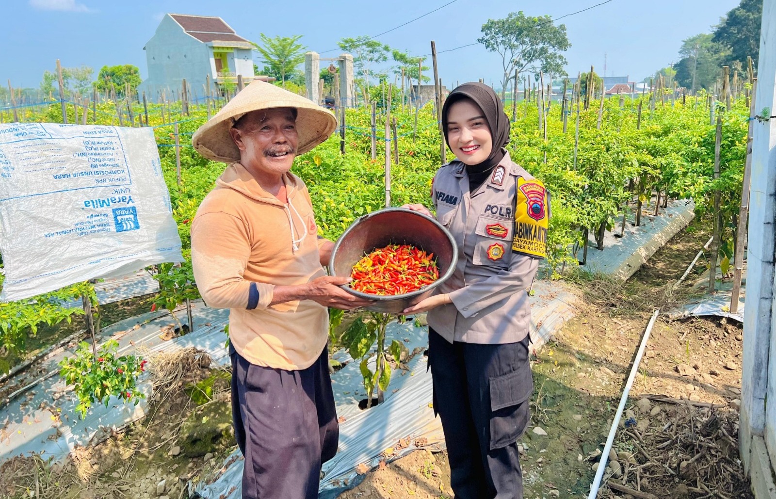 Brigpol Maya ubah pekarangan warga jadi kebun sayur yang produktif