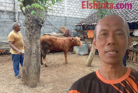 Tangani PMK, Pemprov Jatim kucurkan anggaran Rp25 miliar