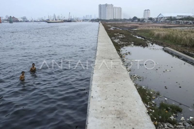 BMKG peringatkan potensi banjir pesisir berlaku 24 Februari-5 Maret BMKG peringatkan potensi banjir pesisir berlaku 24 Februari-5 Maret