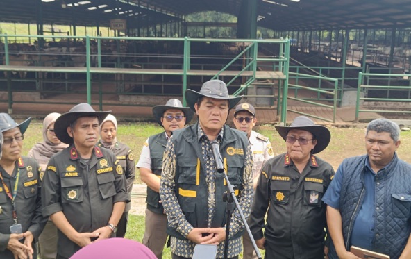 Jelang Ramadan, Barantin pastikan kesehatan sapi dan daging Jelang Ramadan, Barantin pastikan kesehatan sapi dan daging