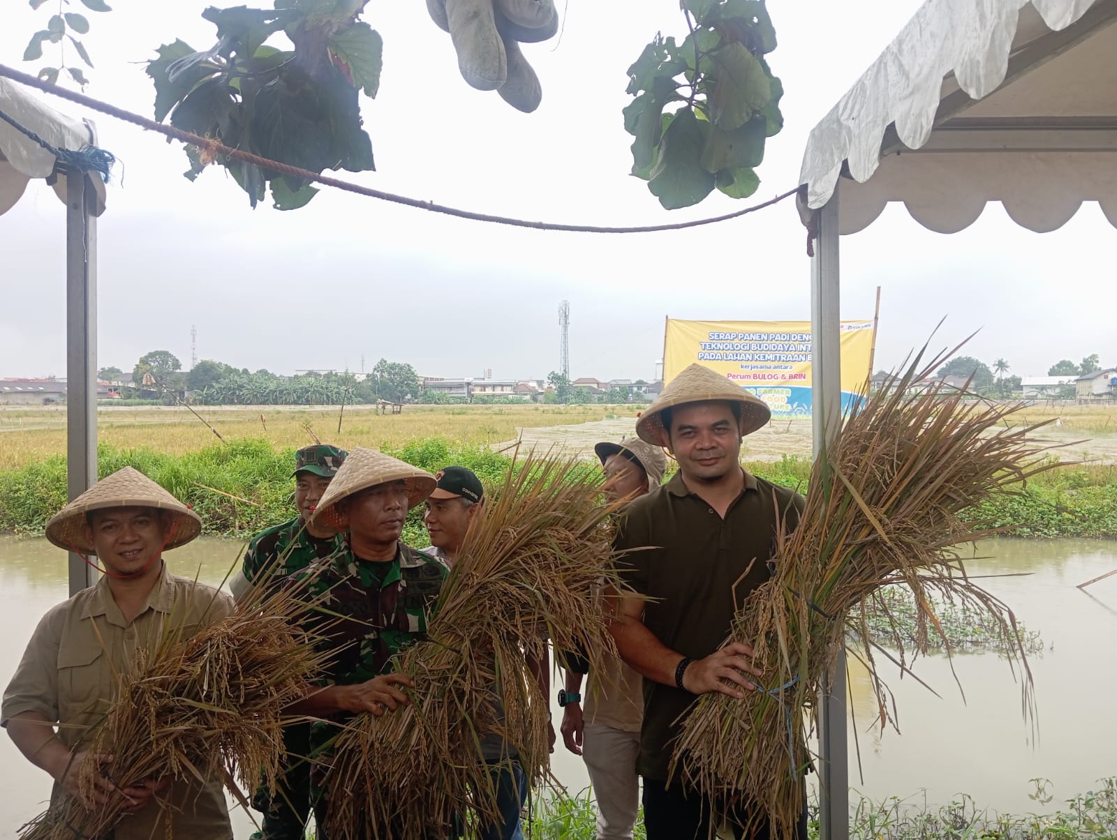 Bulog dan BRIN gelar serap panen di Cibitung untuk dukung ketahanan pangan