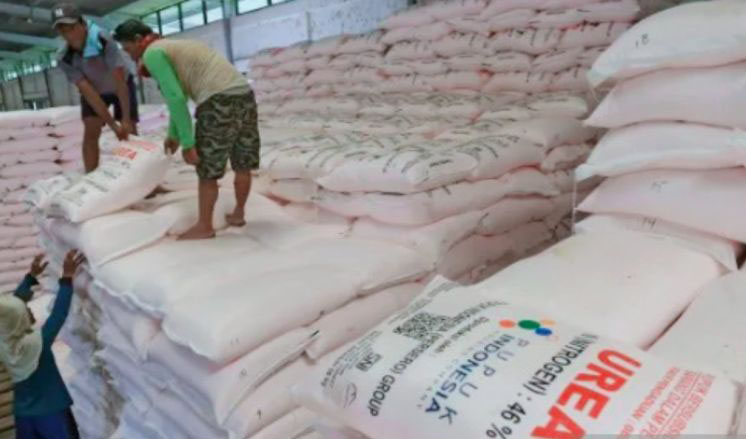 Pendistribusian pupuk subsidi tepat sasaran perkuat ketahanan pangan Pendistribusian pupuk subsidi tepat sasaran perkuat ketahanan pangan