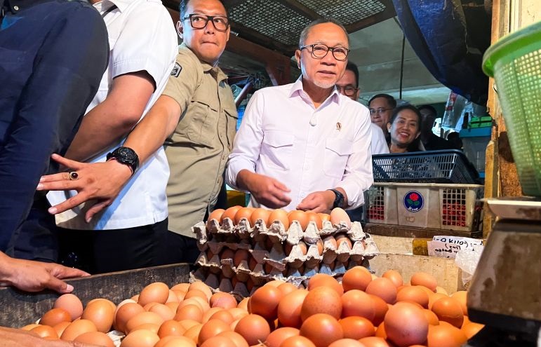 Harga pangan Kamis: Cabai rawit Rp68.800/kg, telur ayam Rp29.900/kg Harga pangan Kamis: Cabai rawit Rp68.800/kg, telur ayam Rp29.900/kg