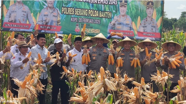 Petani Kampung Pasir Situ dan Polres Serang panen 60 ton jagung Petani Kampung Pasir Situ dan Polres Serang panen 60 ton jagungÂ