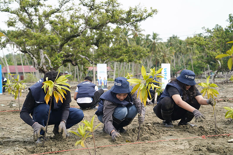 Menghijaukan pesisir, PT PNM bersama relawan bakti BUMN tanam 1.000 mangrove Menghijaukan pesisir, PT PNM bersama relawan bakti BUMN tanam 1.000 mangrove