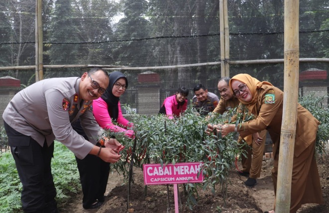 Kapolres Langkat sebut P2L dukung program ketahanan pangan Kapolres Langkat sebut P2L dukung program ketahanan pangan