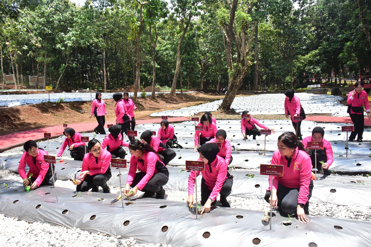 Program Akpol Semarang bisa jadi role model ketahanan pangan