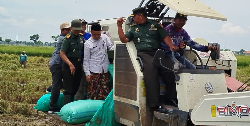 Serap gabah petani, Dintanpan, TNI dan Bulog dorong kesejahteraan petani Serap gabah petani, Dintanpan, TNI dan Bulog dorong kesejahteraan petani
