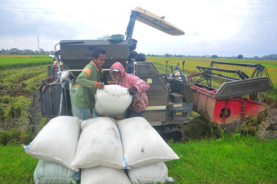 Pertanian maju kunci kemakmuran petani Pertanian maju kunci kemakmuran petani