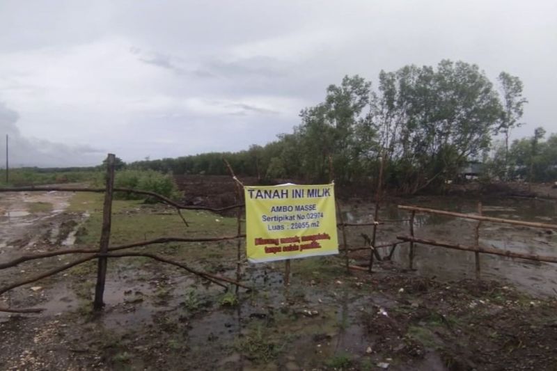 Polda Sulsel selidiki dugaan kavling hutan mangrove Maros