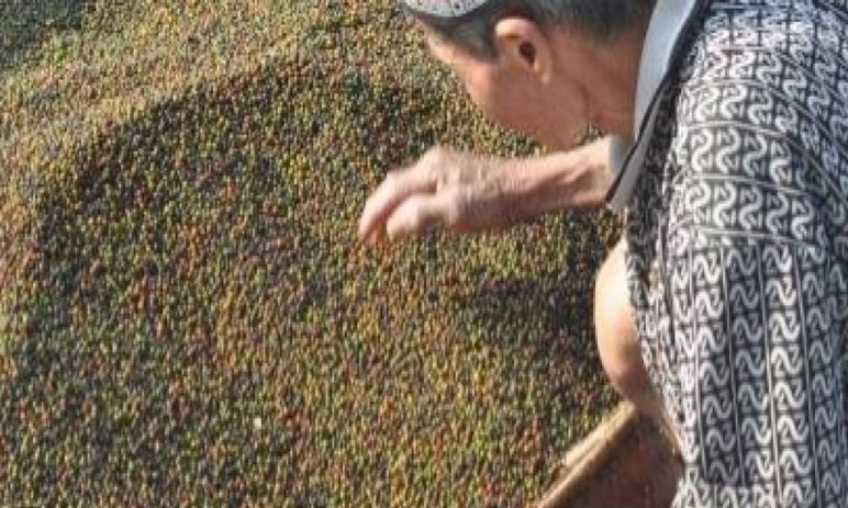 Lada putih di Kendari dijual hingga capai Rp130.000 perKg