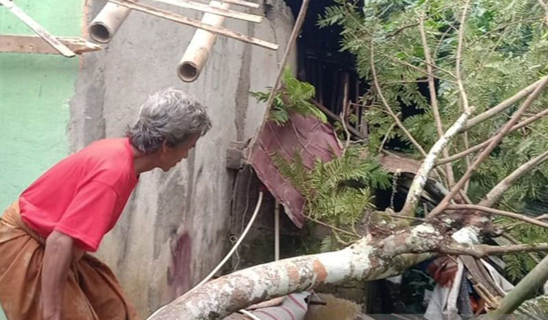 BMKG deteksi siklon tropis Taliah picu angin kencang di Jabar