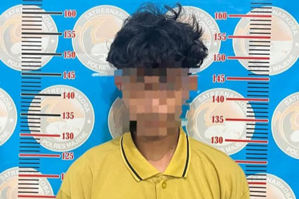 Polres Majene tangkap dua pelaku penyalahgunaan narkoba Polres Majene tangkap dua pelaku penyalahgunaan narkoba