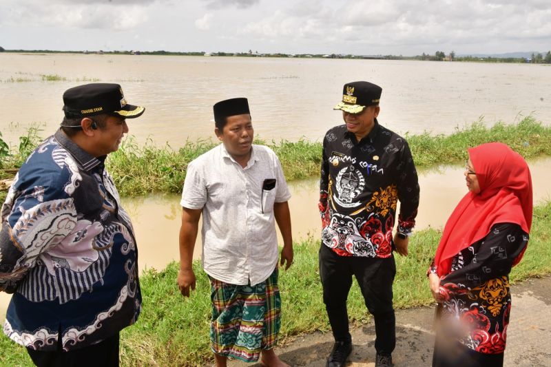 Pemprov Sulsel siapkan bantuan benih untuk petani yang terkena puso Pemprov Sulsel siapkan bantuan benih untuk petani yang terkena puso