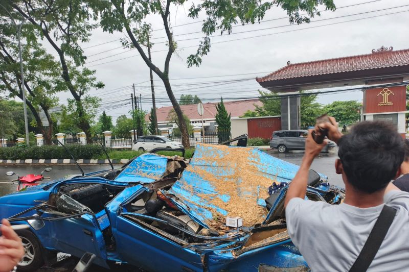 Pohon tumbang timpa mobil di Semarang