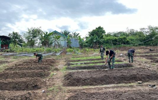 Yonif 141/AYJP dukung program ketahanan pangan dengan urban farming Yonif 141/AYJP dukung program ketahanan pangan dengan urban farming