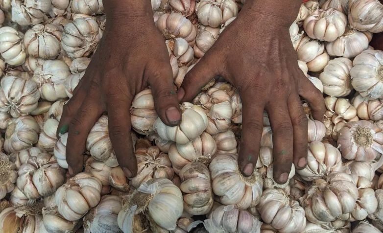 Harga pangan Sabtu: Bawang putih Rp44.750/kg, telur ayam Rp29.800/kg Harga pangan Sabtu: Bawang putih Rp44.750/kg, telur ayam Rp29.800/kg