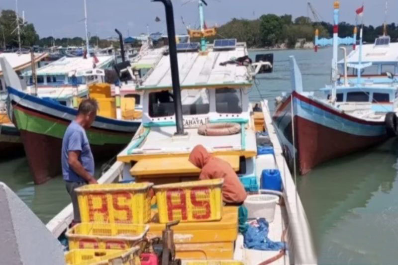 Produksi ikan di PPN Sungailiat capai Rp92 miliar lebih