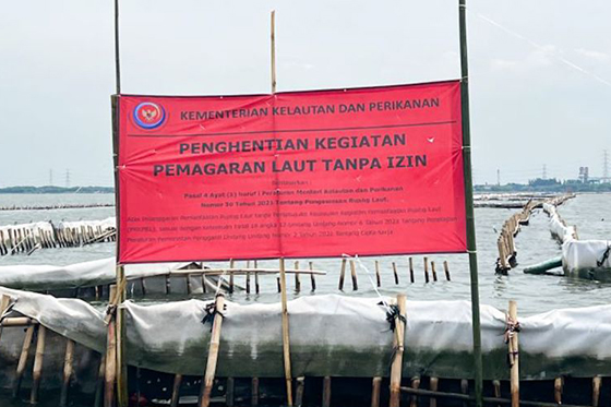 KKP awasi pembongkaran mandiri pagar laut dilakukan PT TRPN di Bekasi KKP awasi pembongkaran mandiri pagar laut dilakukan PT TRPN di Bekasi