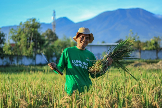 Lumbung Pangan BAZNAS bantu 80 petani binaan jadi muzaki Lumbung Pangan BAZNAS bantu 80 petani binaan jadi muzaki