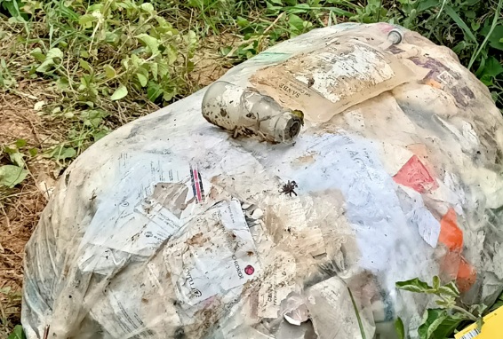 Limbah medis ilegal di Bekasi: Ancaman kesehatan masyarakat Limbah medis ilegal di Bekasi: Ancaman kesehatan masyarakat