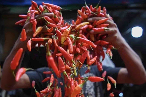 Harga cabai rawit merah turun Rp30.170 jadi Rp38.380/kg pada Senin