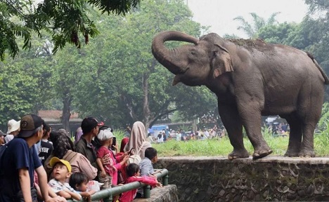Pengelola Margasatwa Ragunan imbau warga tak merokok di dalam kawasan Pengelola Margasatwa Ragunan imbau warga tak merokok di dalam kawasan
