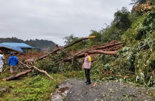 Jalan alternatif Langkat-Karo di Desa Telagah putus tertimbun longsor Jalan alternatif Langkat-Karo di Desa Telagah putus tertimbun longsor