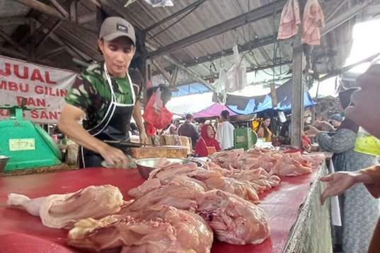 Pemprov Babel: pelaku usaha tambah 20 ton ayam potong jelang Imlek Pemprov Babel: pelaku usaha tambah 20 ton ayam potong jelang Imlek