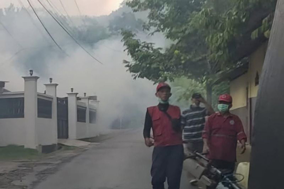 Pemkab Trenggalek imbau warga aktif pantau antisipasi DBD Pemkab Trenggalek imbau warga aktif pantau antisipasi DBD