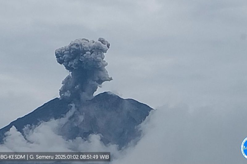Semeru erupsi beberapa kali dengan tinggi letusan hingga 1.200 meter Semeru erupsi beberapa kali dengan tinggi letusan hingga 1.200 meter
