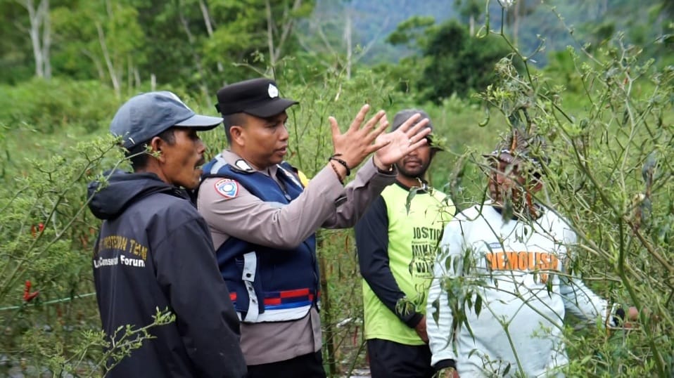 Inspiratif, Bripka Adi Syafnur ubah lahan ganja jadi lahan palawija Inspiratif, Bripka Adi Syafnur ubah lahan ganja jadi lahan palawija