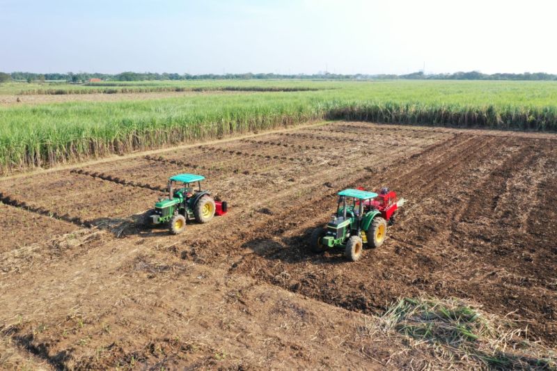 ID FOOD lakukan pengamanan aset lahan guna dukung swasembada ID FOOD lakukan pengamanan aset lahan guna dukung swasembada