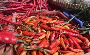 Harga pangan 2 Januari, telur ayam Rp30.810/kg cabai rawit Rp61.180/kg Harga pangan 2 Januari, telur ayam Rp30.810/kg cabai rawit Rp61.180/kg