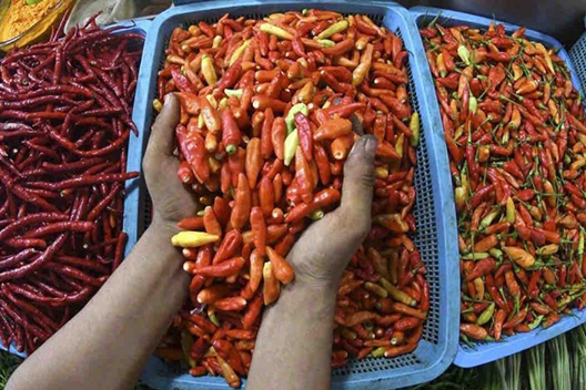 Harga cabai rawit merah turun jadi Rp70.730 per kg Harga cabai rawit merah turun jadi Rp70.730 per kg