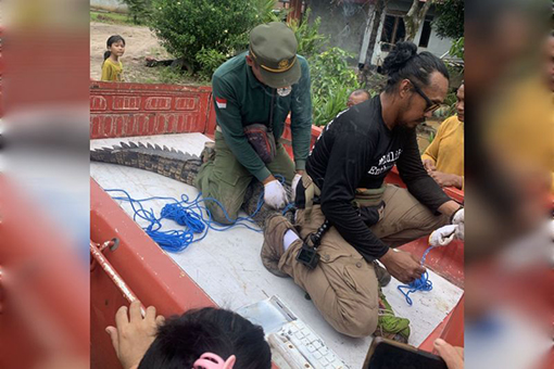 BKSDA: Konflik manusia dan buaya di Kotim meningkat BKSDA: Konflik manusia dan buaya di Kotim meningkat