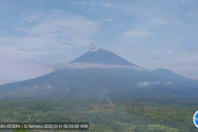 Gunung Semeru erupsi enam kali pada Selasa pagi Gunung Semeru erupsi enam kali pada Selasa pagi